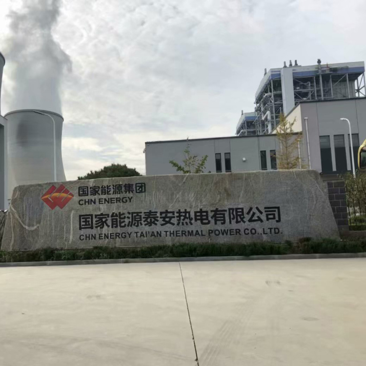 德標液氨專用球閥-國電泰安站應用案例