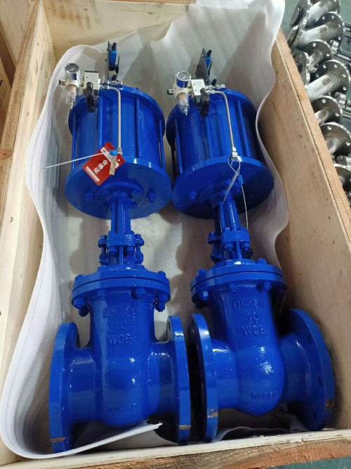 氣動閘閥 Pneumatic valve